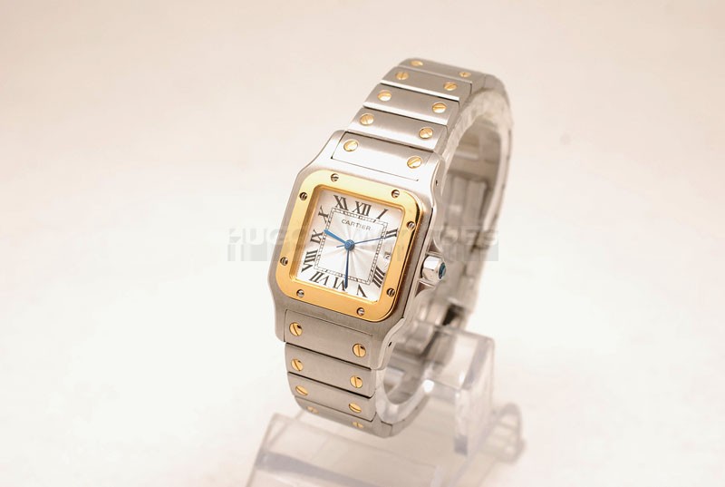 Cartier Replica 29mm Swiss Santos Watch20169