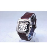 Cartier 33mm Replica Santos 100 Medium Model Watch20255