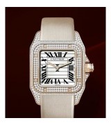  Cartier Santos HPI00343 Ladies Automatic Silver White Swiss ETA 2824