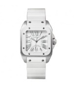 Cartier Santos W20129U2 Ladies Automatic Silver Swiss ETA 2824