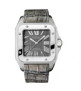  Cartier Santos W20134X8 Mens Automatic Silver Swiss ETA 2824