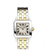 Cartier Santos W25067Z6 Ladies Quartz Silver White Swiss ETA Quartz 