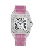 Cartier Santos WM501751 Ladies Automatic Silver Swiss ETA 2824