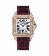  Cartier Santos WM502151 Ladies Automatic White Swiss ETA 2824