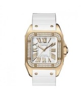 Cartier Santos WM50450M Ladies Automatic White Swiss ETA 2824