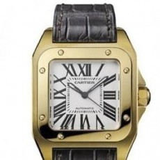 Cartier Santos W20112Y1 Ladies Automatic White Swiss ETA 2824
