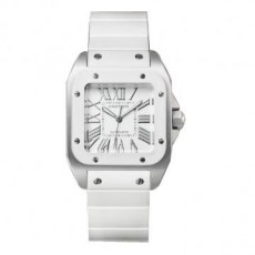 Cartier Santos W20129U2 Ladies Automatic Silver Swiss ETA 2824