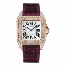 Cartier Santos WM502151 Ladies Automatic White Swiss ETA 2824
