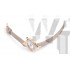 Cartier Delices W8100009 Ladies Quartz White Swiss ETA Quartz 