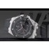 Replica  Audemars Piguet Royal Oak Offshore Alinghi Polaris Limited Edition-ap21