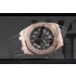 Replica  Audemars Piguet Royal Oak Offshore Alinghi Polaris Limited Edition-ap18