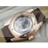 Omega Seamaster Swiss 2824 Mens Automatic Rose Gold Triangle Markers
