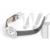 Cartier Baignoire WB520027 Ladies Quartz Silver White Swiss ETA Quartz 