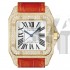  Cartier Santos WM502051 Ladies Automatic Silver Swiss ETA 2824